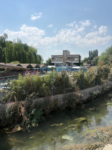 عکس کباب ماهی گلستانی