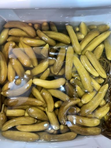 عکس پروتئین رضایی