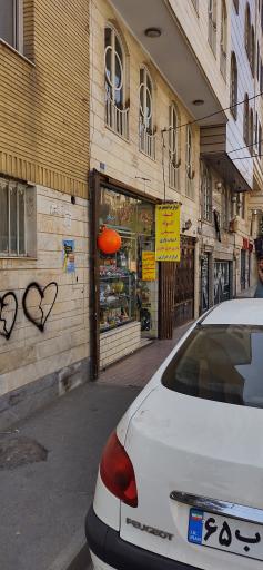 عکس فروشگاه آزادگان