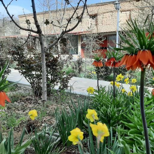 عکس اقامتگاه بومگردی باغ آلبالو فیل آباد