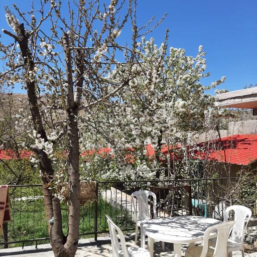 عکس اقامتگاه بومگردی باغ آلبالو فیل آباد