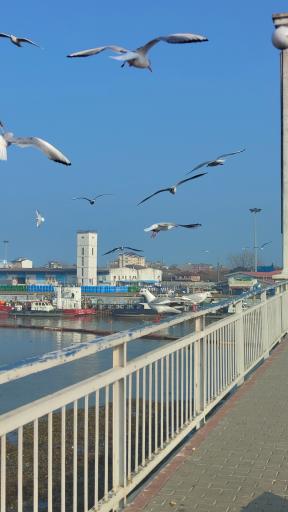 پل‌ جدید انزلی