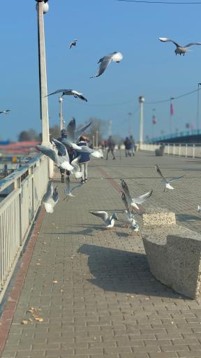 پل‌ جدید انزلی