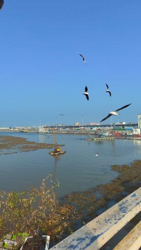 پل‌ جدید انزلی