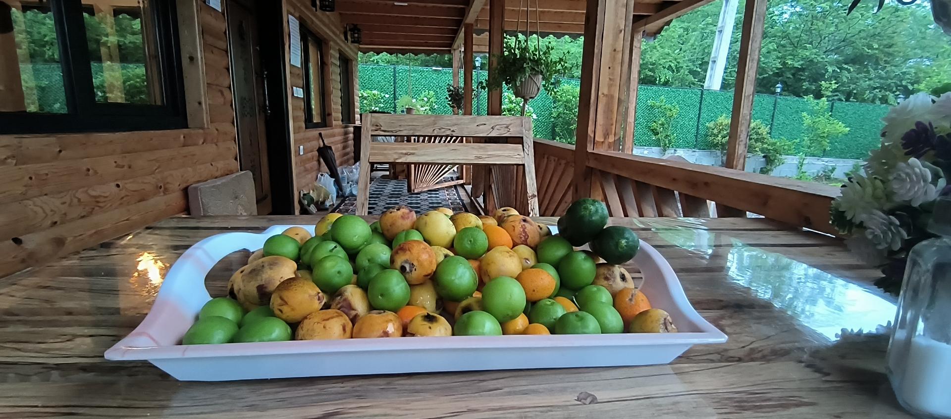 عکس اقامتگاه گیلداد