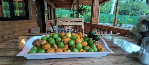 عکس اقامتگاه گیلداد