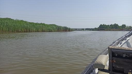 پل‌ جدید انزلی