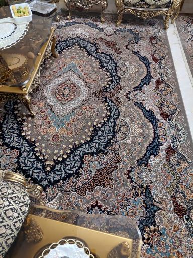 عکس قالیشویی وزیر