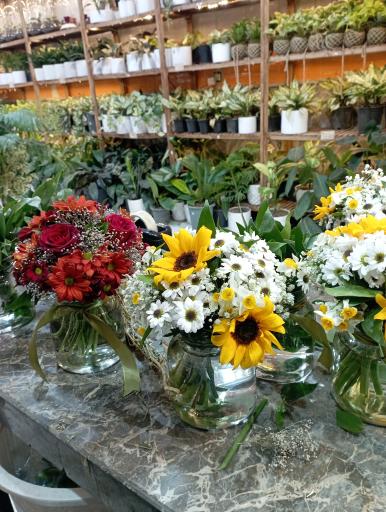 عکس گلکده ریحانی