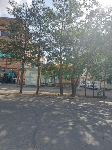 عکس فست فود الماس