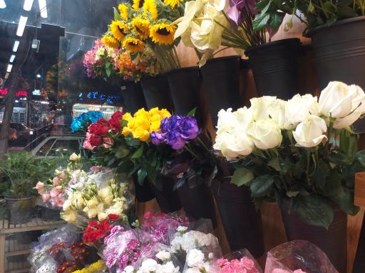 عکس گلکده ریحانی