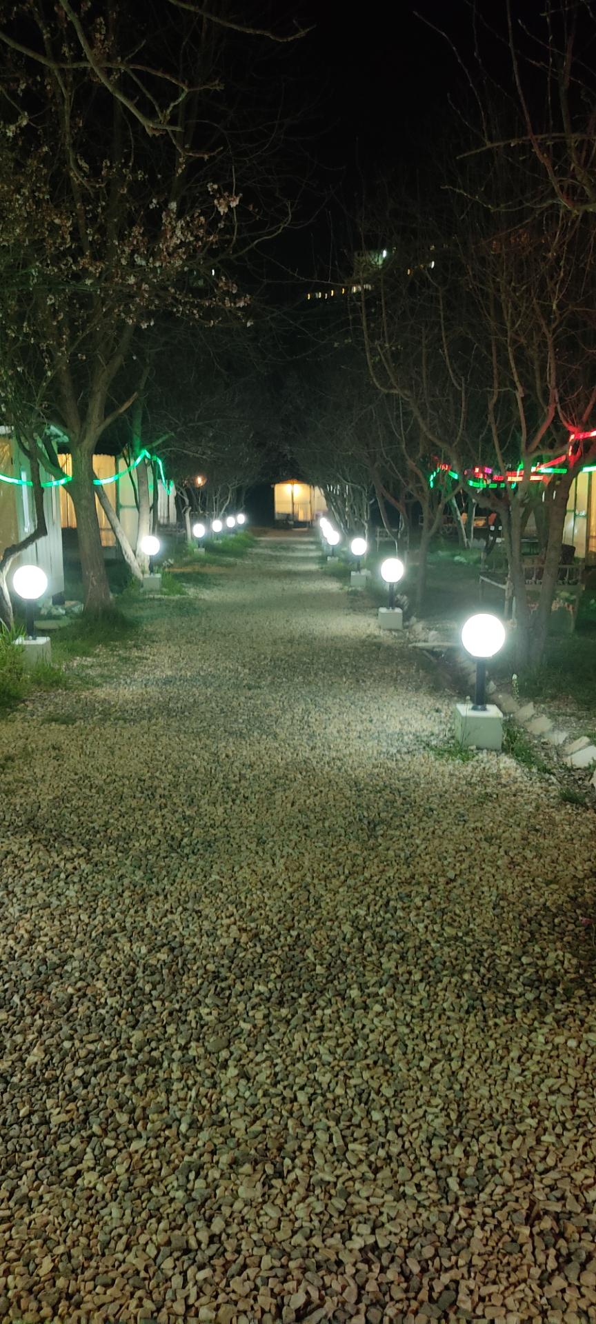 عکس باغ رستوران گلدشت