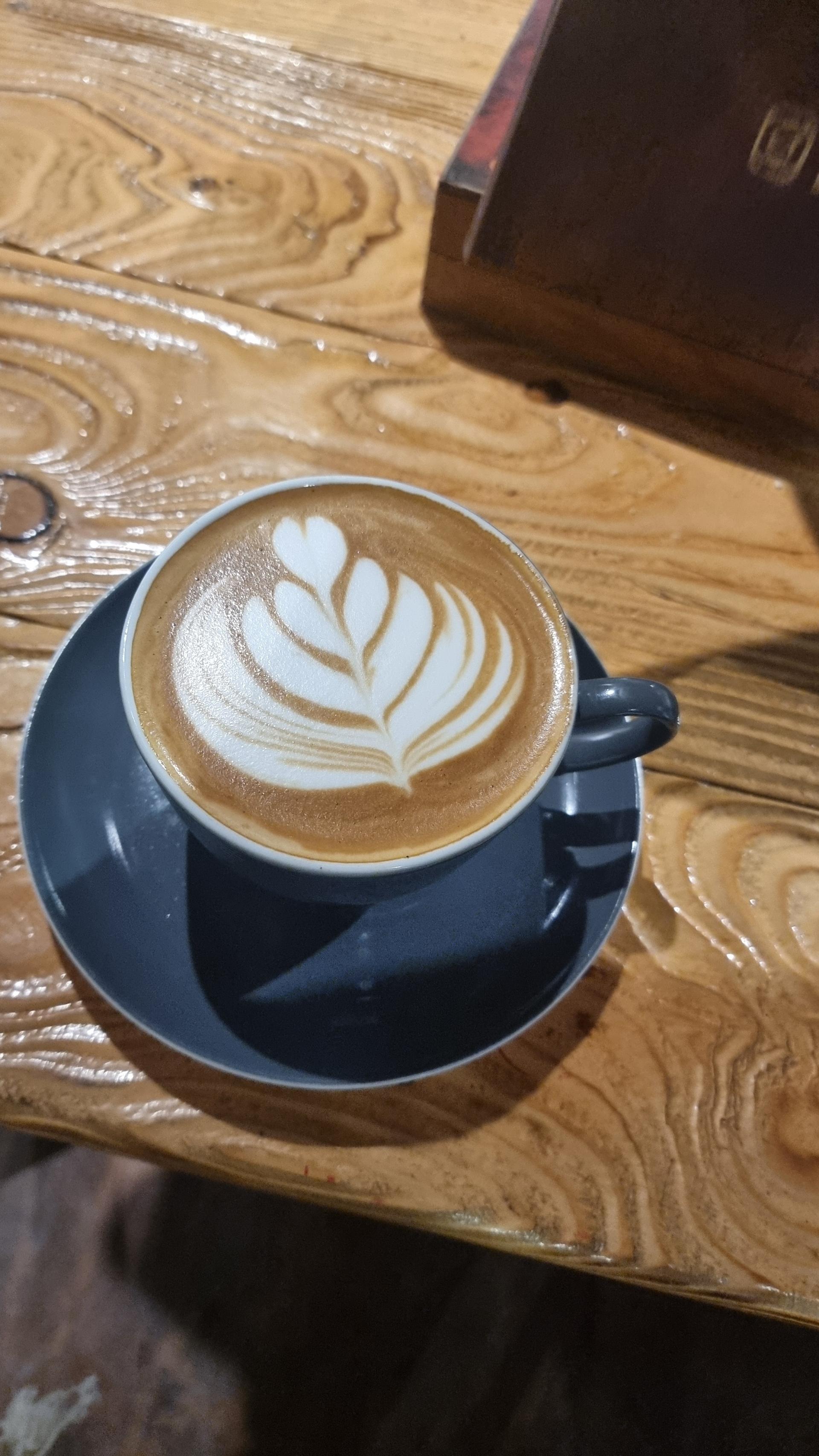 عکس کافه قو سیاه