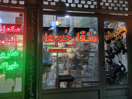 عکس پت شاپ منقار خم ها