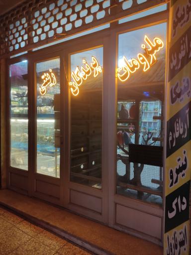 عکس پت شاپ منقار خم ها