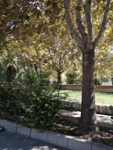 عکس بوستان ساحل