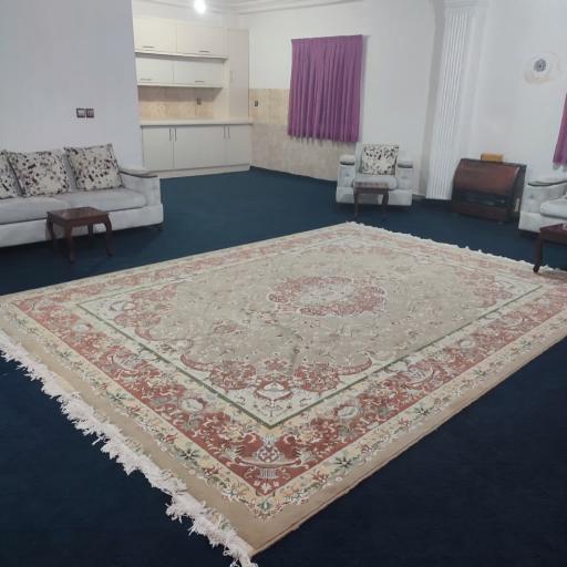 عکس اقامتگاه جنگلی 