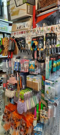 عکس پلاسکو شالی