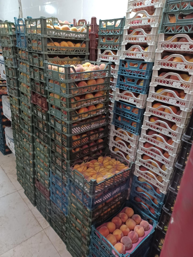 عکس میوه فروشی سید