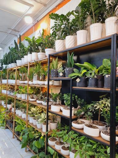 عکس گلکده ریحانی