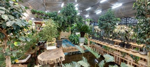 عکس امپراطوری گلها 