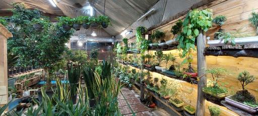 عکس امپراطوری گلها 