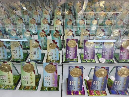 عکس گالری سکه سالار