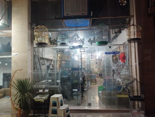 عکس پرنده فروشی کلبه پرندگان زیبا