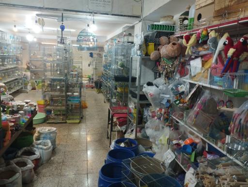 عکس پرنده فروشی کلبه پرندگان زیبا