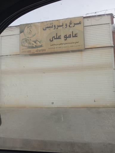 عکس مرغ و پروتئین عآموعلی