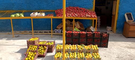 عکس میوه سرای کرمی 