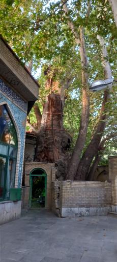 عکس مسجد جامع برغان