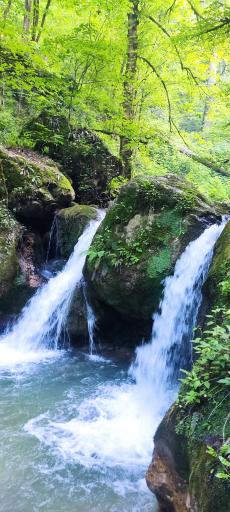 عکس آبشار دارنو ولرده