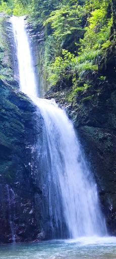 عکس آبشار دارنو ولرده