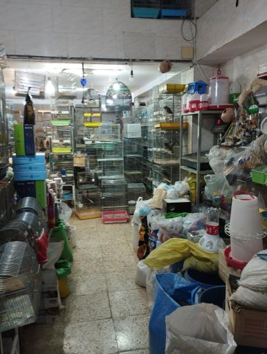 عکس پرنده فروشی کلبه پرندگان زیبا
