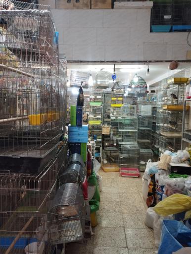 عکس پرنده فروشی کلبه پرندگان زیبا