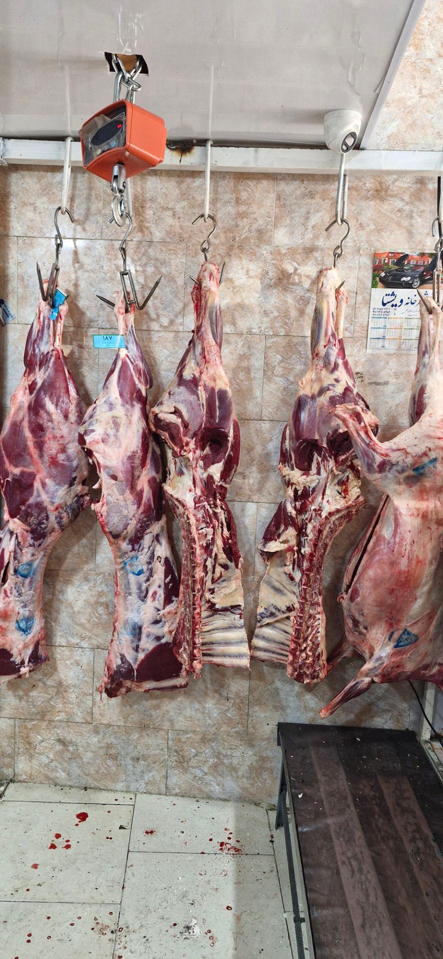 عکس سوپرگوشت زارع 
