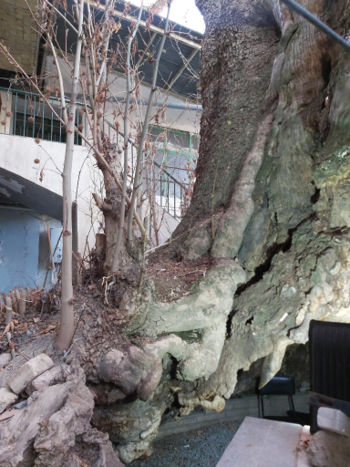 عکس مسجد جامع برغان