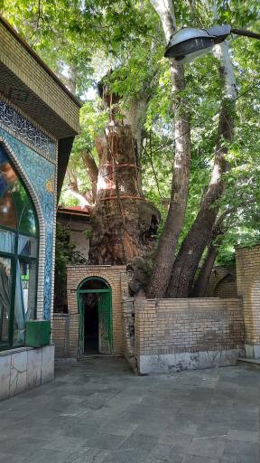عکس مسجد جامع برغان