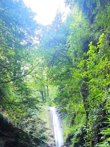 عکس آبشار دارنو ولرده