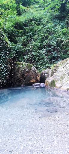 عکس آبشار دارنو ولرده