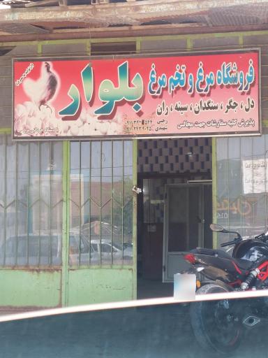 عکس فروشگاه مرغ و تخم مرغ بلوار