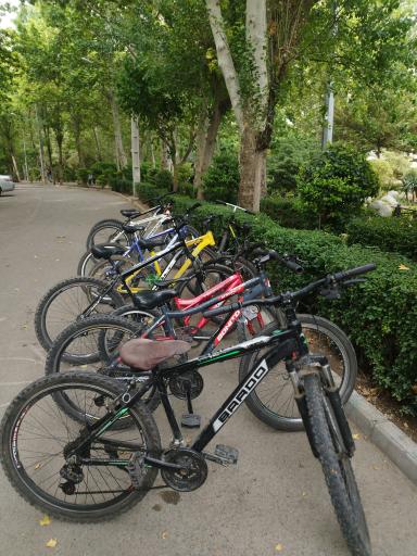 ایستگاه دوچرخه سواری هم‌ رکاب