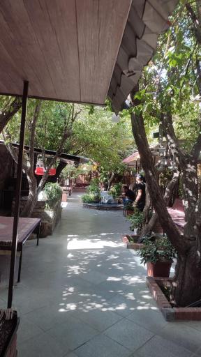 عکس باغ رستوران ساعی