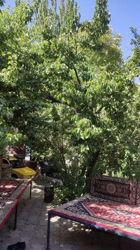 عکس باغ رستوران ساعی