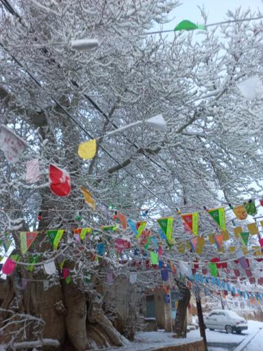 عکس پارک طرقرود