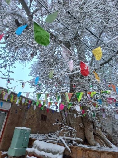 عکس پارک طرقرود