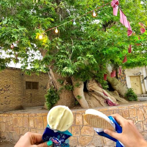 عکس پارک طرقرود