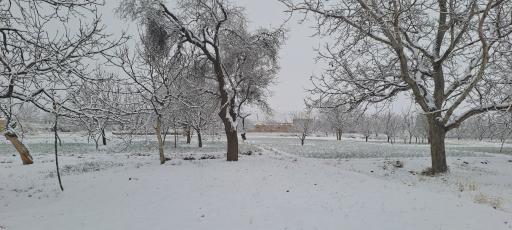 عکس پارک طرقرود