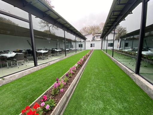 عکس جگرکی دمس